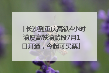 长沙到重庆高铁4小时 渝厦高铁渝黔段7月1日开通，今起可买票